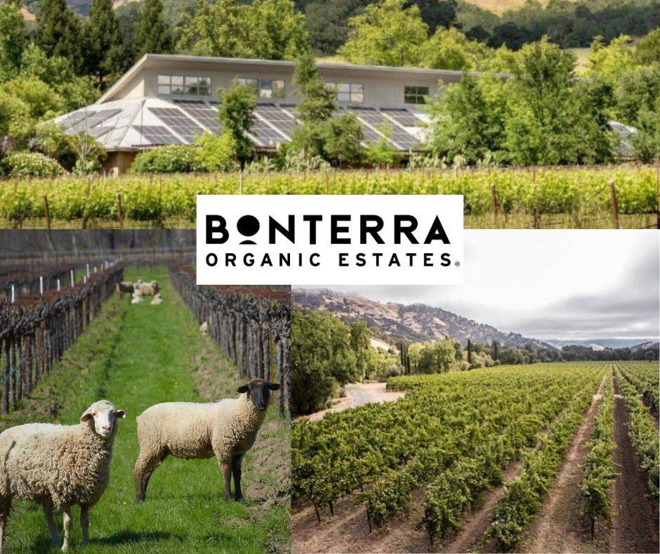 Bonterra Organic Estates: chai et vignobles