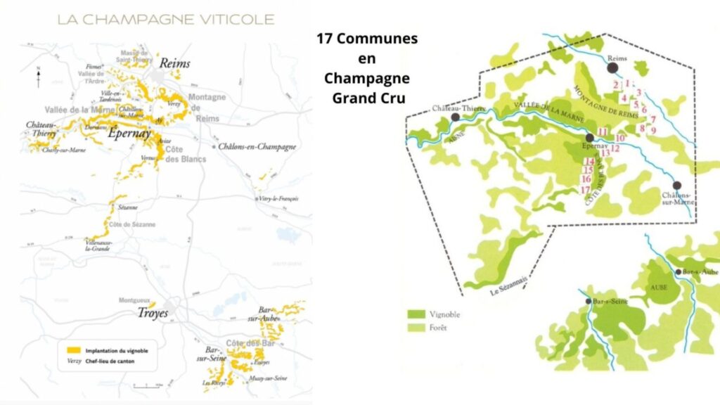 Carte viticole Champagne et Grand Cru