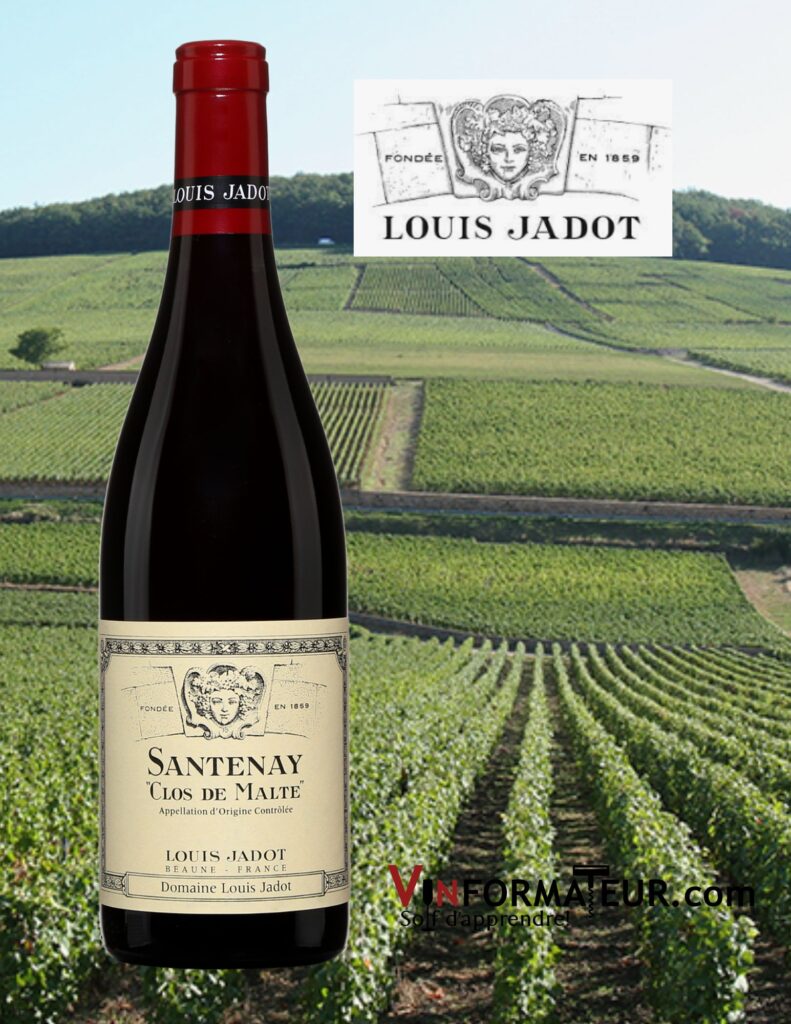 Louis Jadot, Clos de Malte, France, Bourgogne, vin rouge, 2020 bouteille vignoble