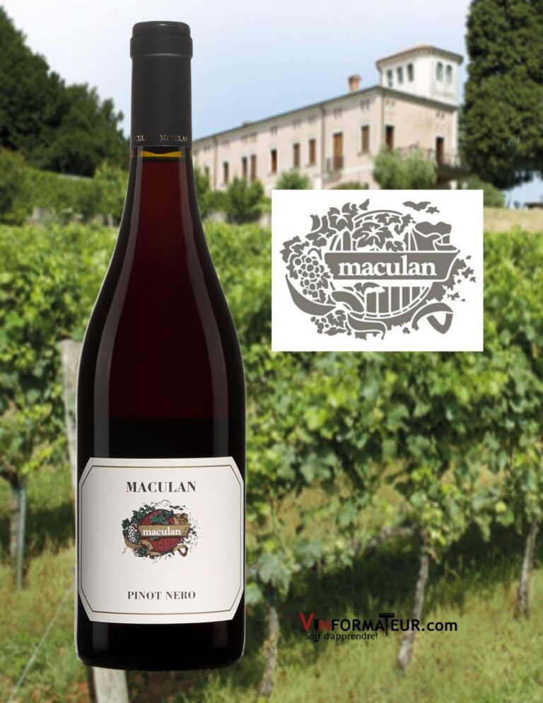 Pinot Nero, Maculan, Italie, Vénétie, Breganze DOC, vin rouge, 2021 bouteille