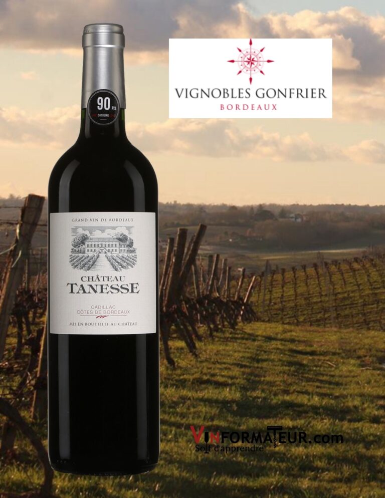 Château Tanesse, France, Cadillac, Côtes de Bordeaux, vin rouge, 2019 bouteille vignoble