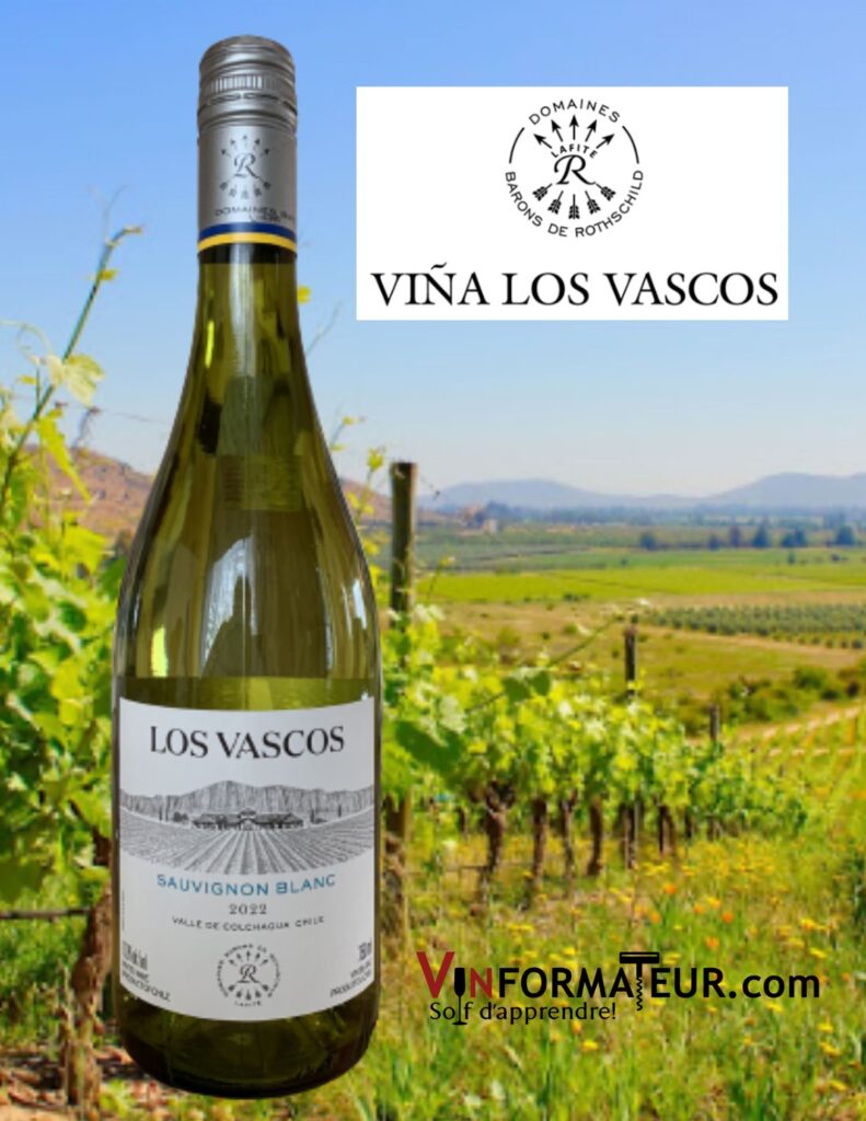 Los Vascos, Sauvignon blanc, Chili, Vallée de Colchagua, vin blanc, 2022 bouteille