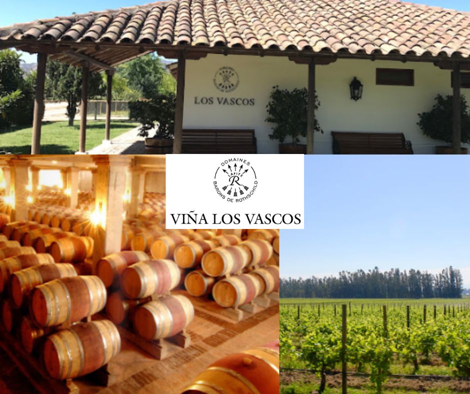 Vina Los Vascos: chai et vignobles