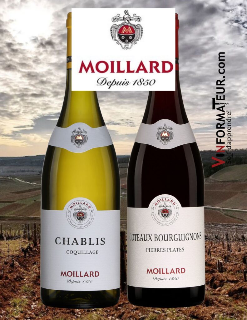 Moillard: Coquillage, Chablis, 2021, 28,15$, cépage : Chardonnay 100%, Côteaux Bourguignons, Pierres Plates, 2021, 16,55$, cépage : Gamay 100%. bouteilles