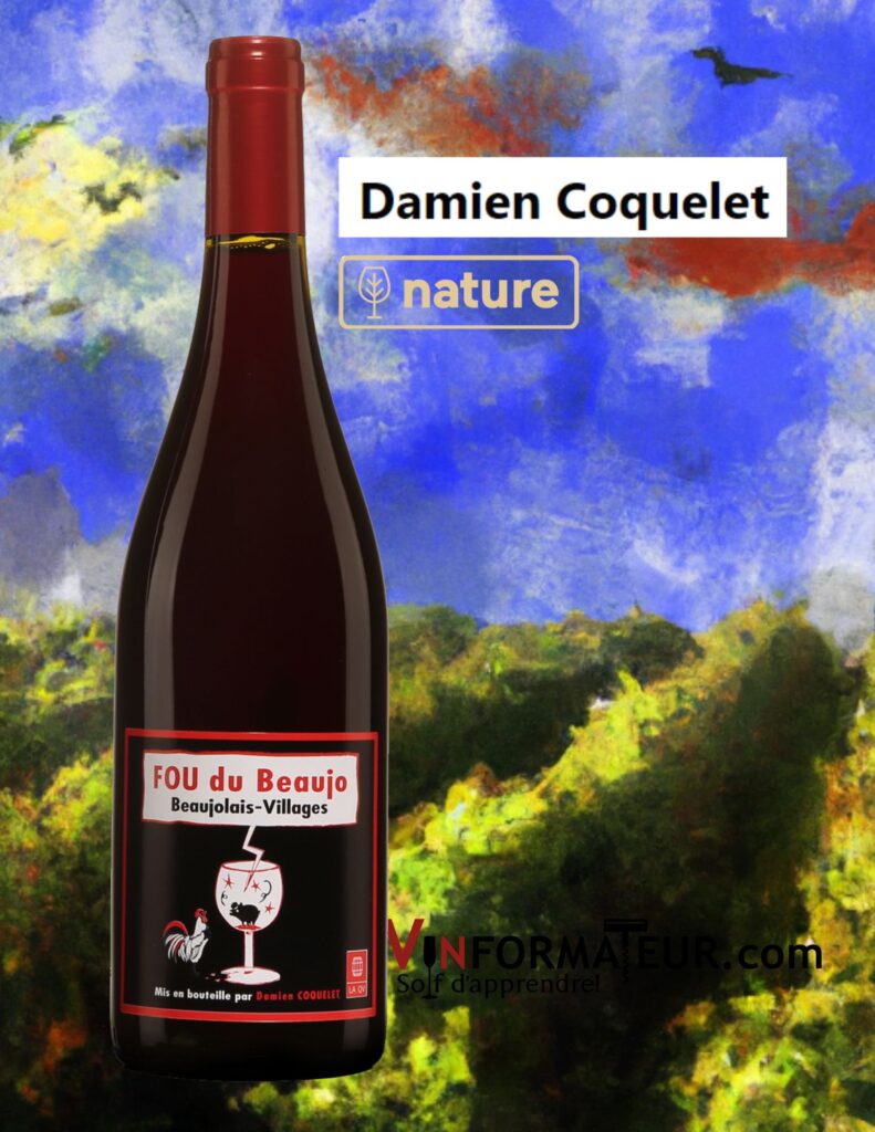 Damien Coquelet, Fou du Beaujo Beaujolais-Villages, vin rouge, 2020 bouteille