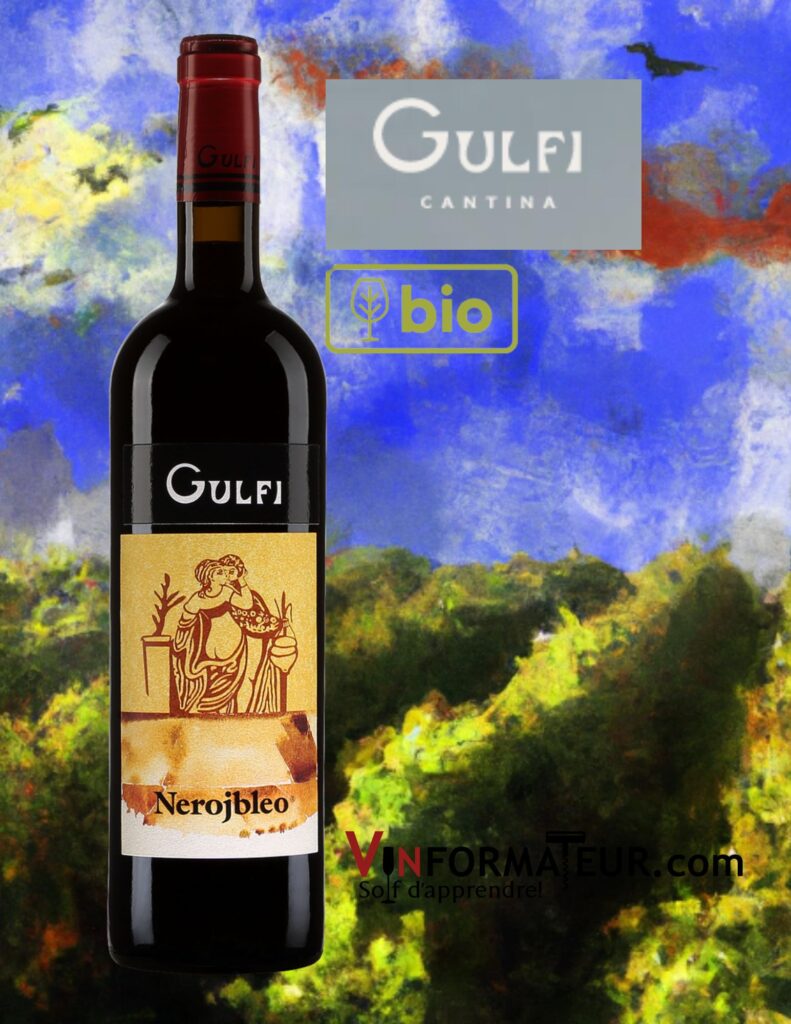 Gulfi Nerojbleo, Nero D'Avola, Italie, Sicile, vin rouge, 2020 bouteille