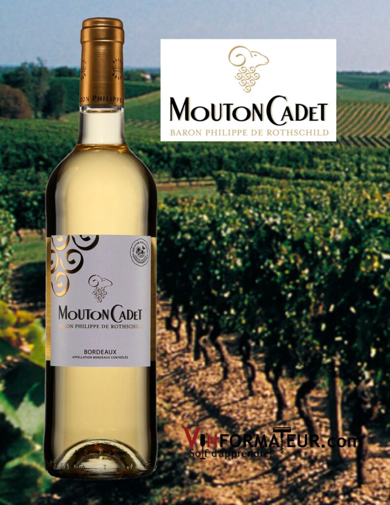 Mouton Cadet, Bordeaux, vin blanc, 2022 bouteille