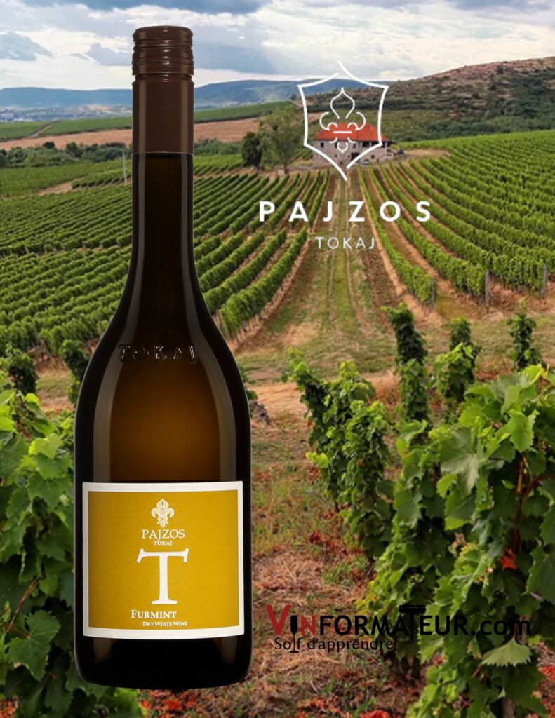 Pajzos, Tokaji, T, Furmint, Hongrie, vin blanc sec, 2020 bouteille