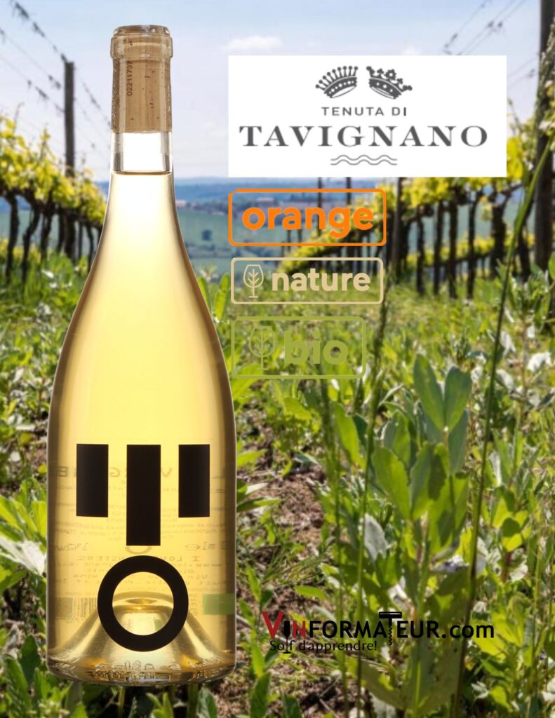 Tavignano, I love Monsters, La Vergine, Italie, Les Marches, vin orange nature et bio, 2021 bouteille