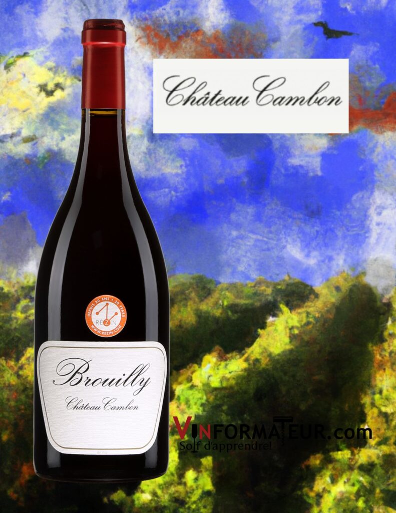 Château Cambon, Domaine Marcel Lapierre, Beaujolais, Brouilly, vin rouge, 2021 bouteille