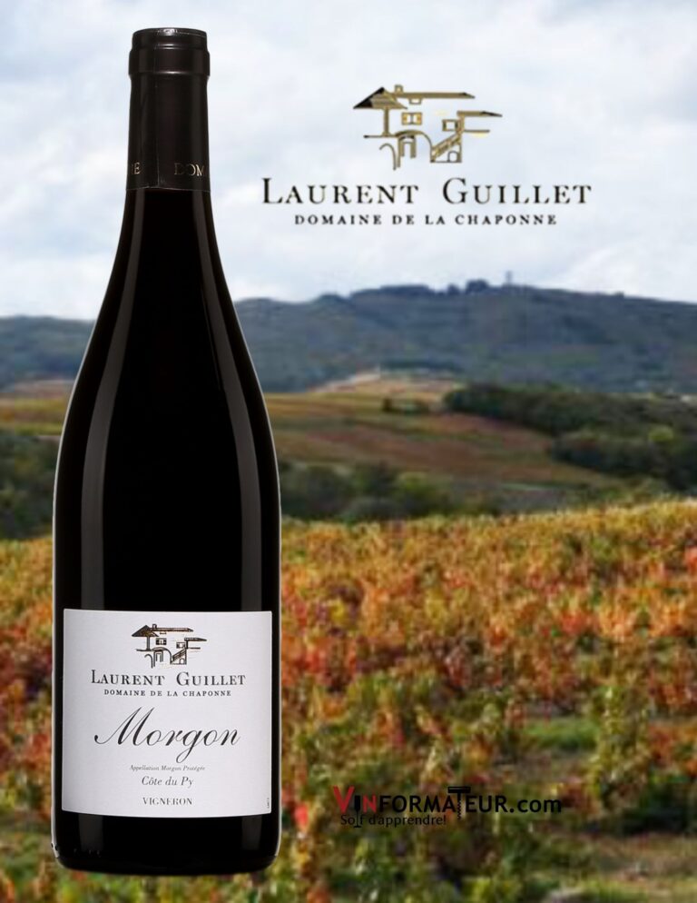 Laurent Guillet, Domaine de la Chaponne, Morgon, Côte de Py, vin rouge, 2019 bouteille