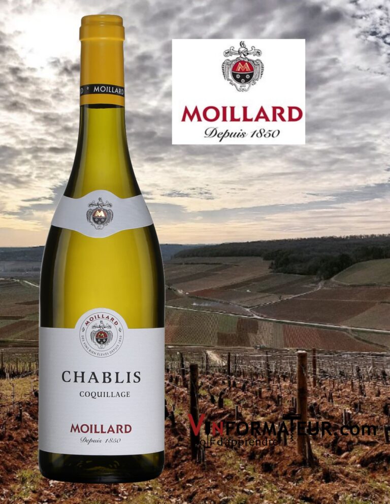 Coquillage, Moillard, France, Chablis, 2021 bouteille