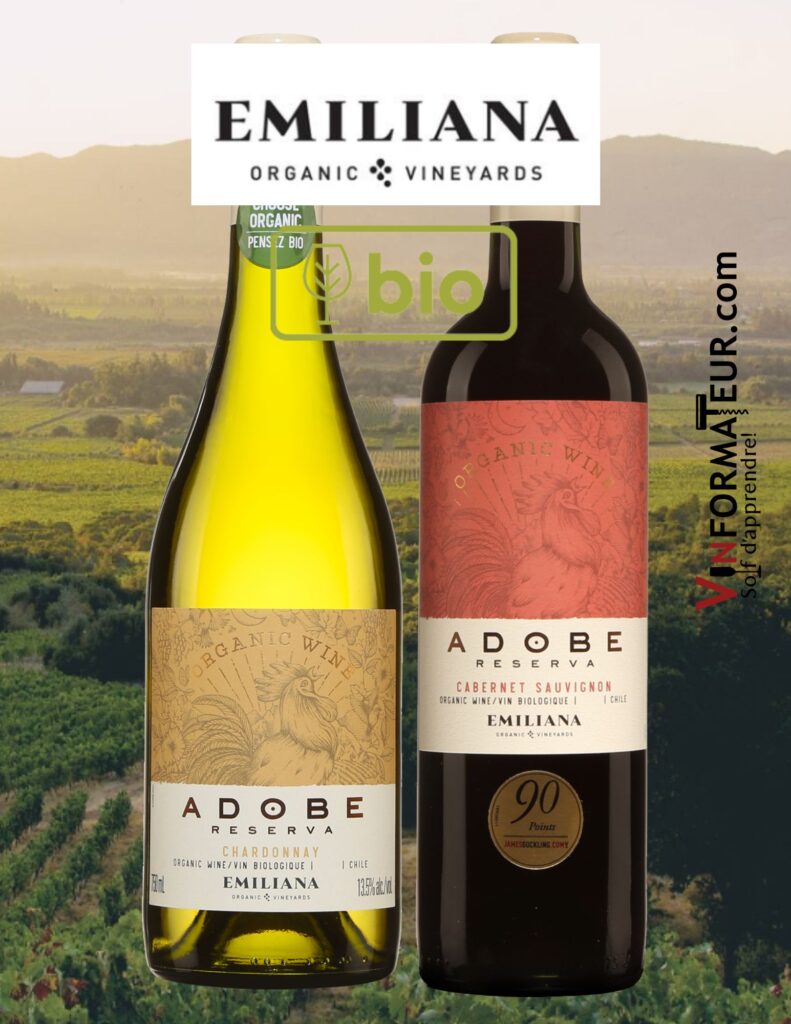 Adobe Reserva: Chardonnay, Valle de Casablanca, vin blanc bio, 2021, 15,85$, Cabernet-Sauvignon, D.O. Valle Central, vin rouge bio, 2020, 15,85$. bouteilles