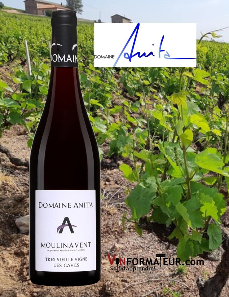 Domaine Anita, Moulin-à-Vent, Très Vieilles Vignes, Les Caves, Beaujolais, Anita Kuhnel, 2020 bouteille