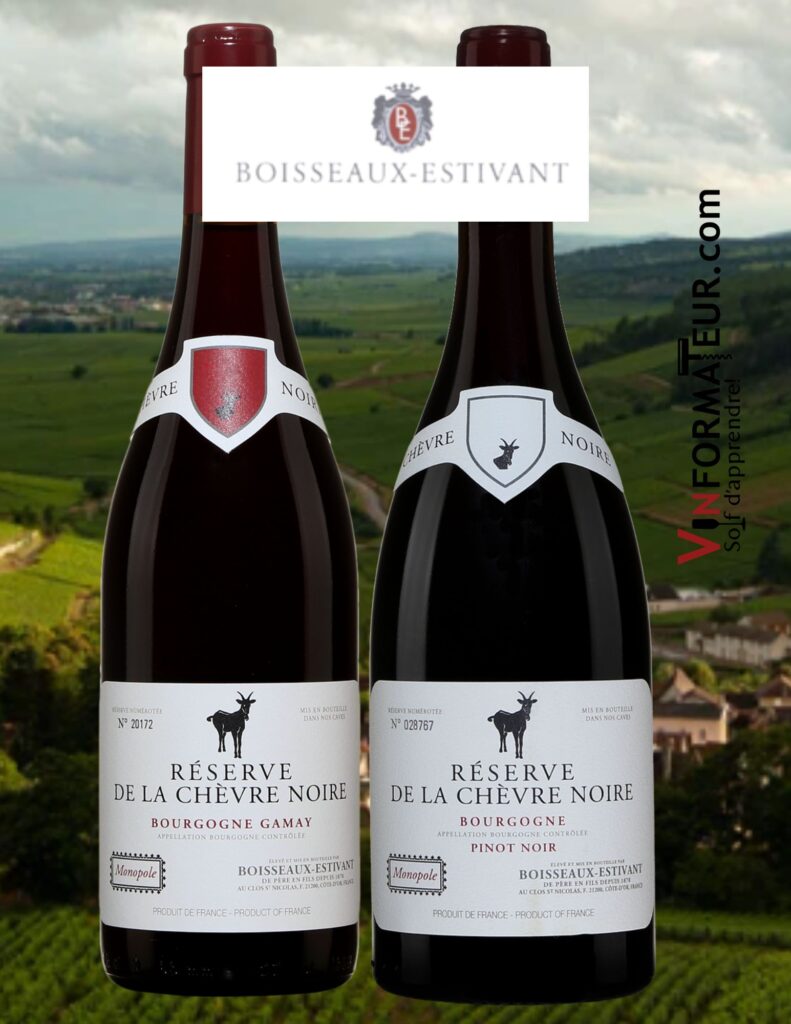 Réserve Chèvre Noire Gamay et Bourgogne | Vinformateur