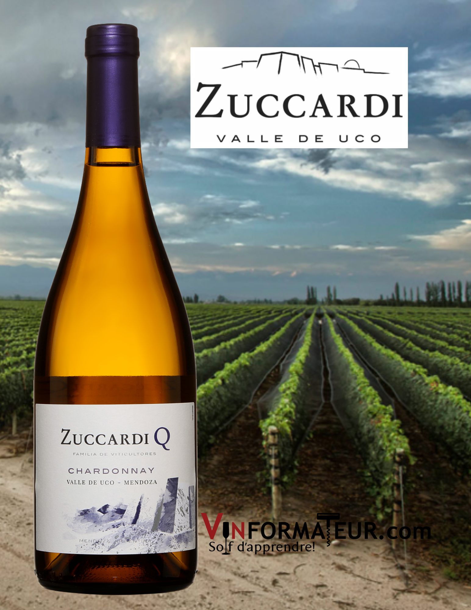 Zuccardi Chardonnay Cabernet Sauvignon Argentine Vinformateur zuccardi-chardonnay-cabernet-sauvignon-argentine-vinformateur