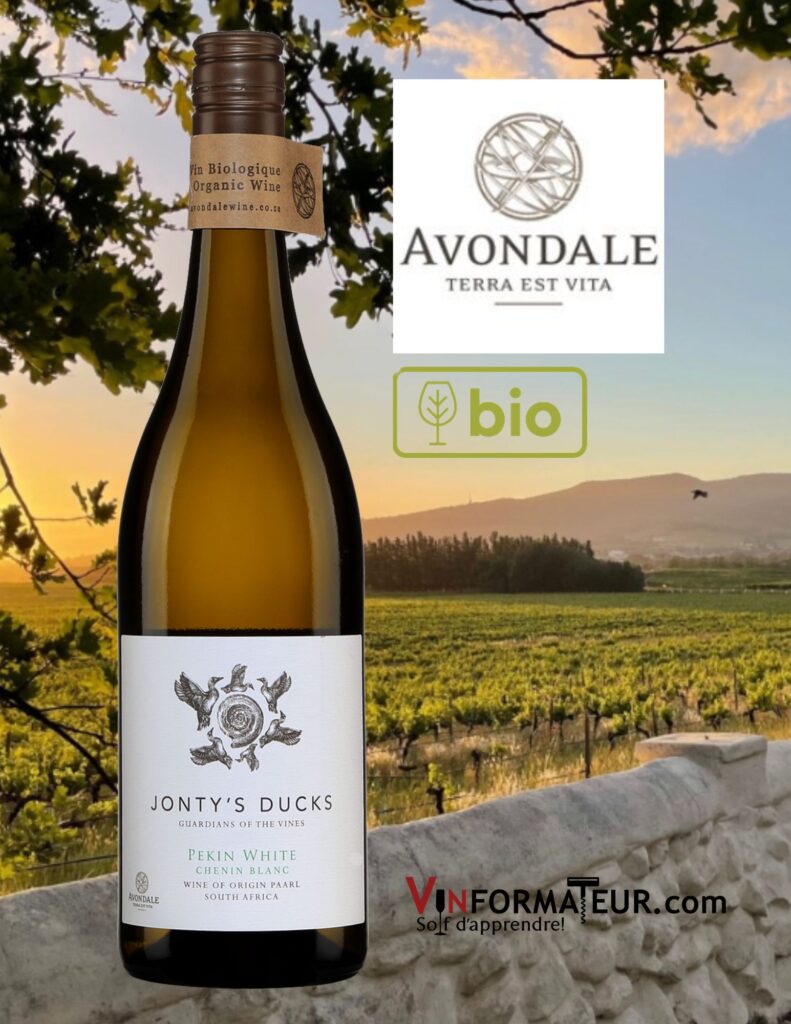 Jonty’s Duck, Pekin White, Chenin blanc, Afrique du Sud, Western Cape, vin blanc bio, 2019 bouteille
