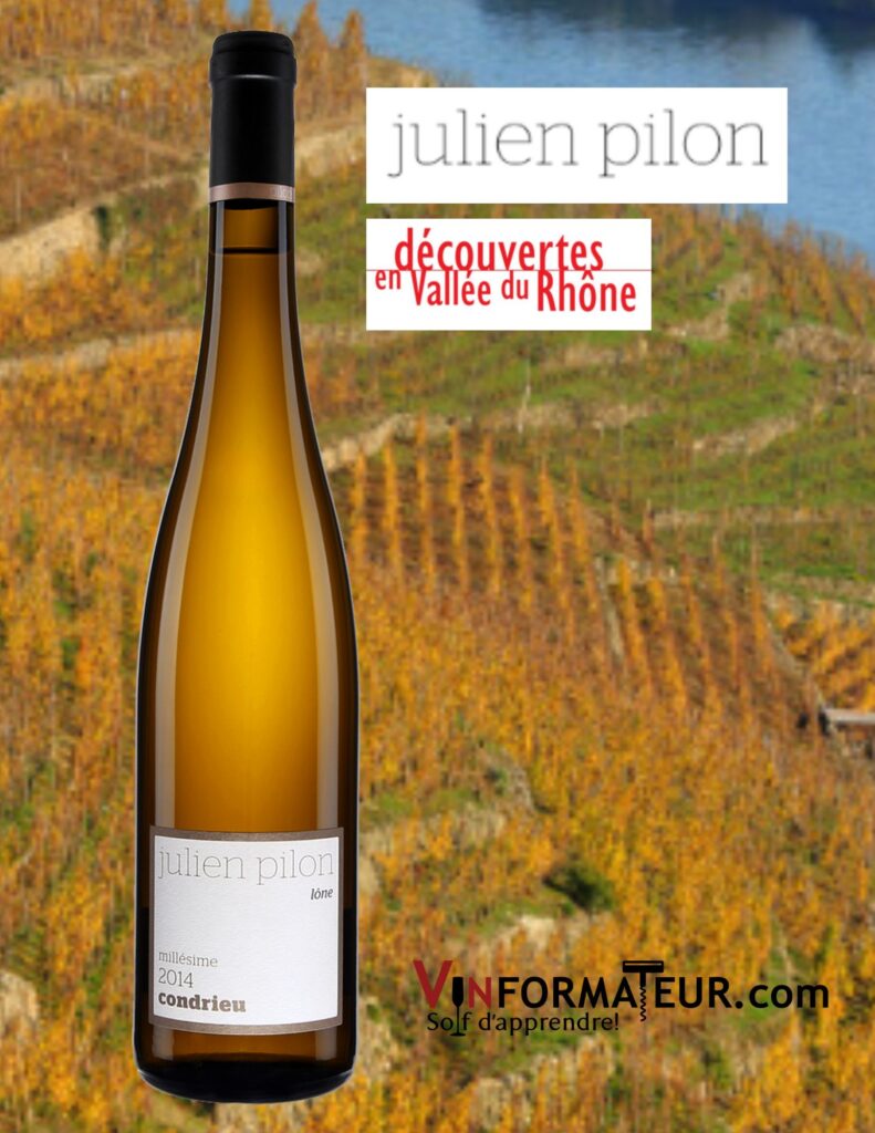 Julien Pilon, Lône, Condrieu, 2020 bouteille