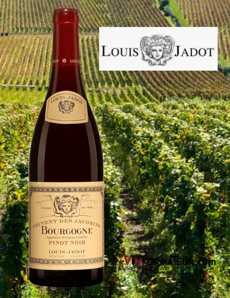 Louis Jadot, Bourgogne appellation régionale, Couvent des Jacobins, vin rouge, 2020 bouteille