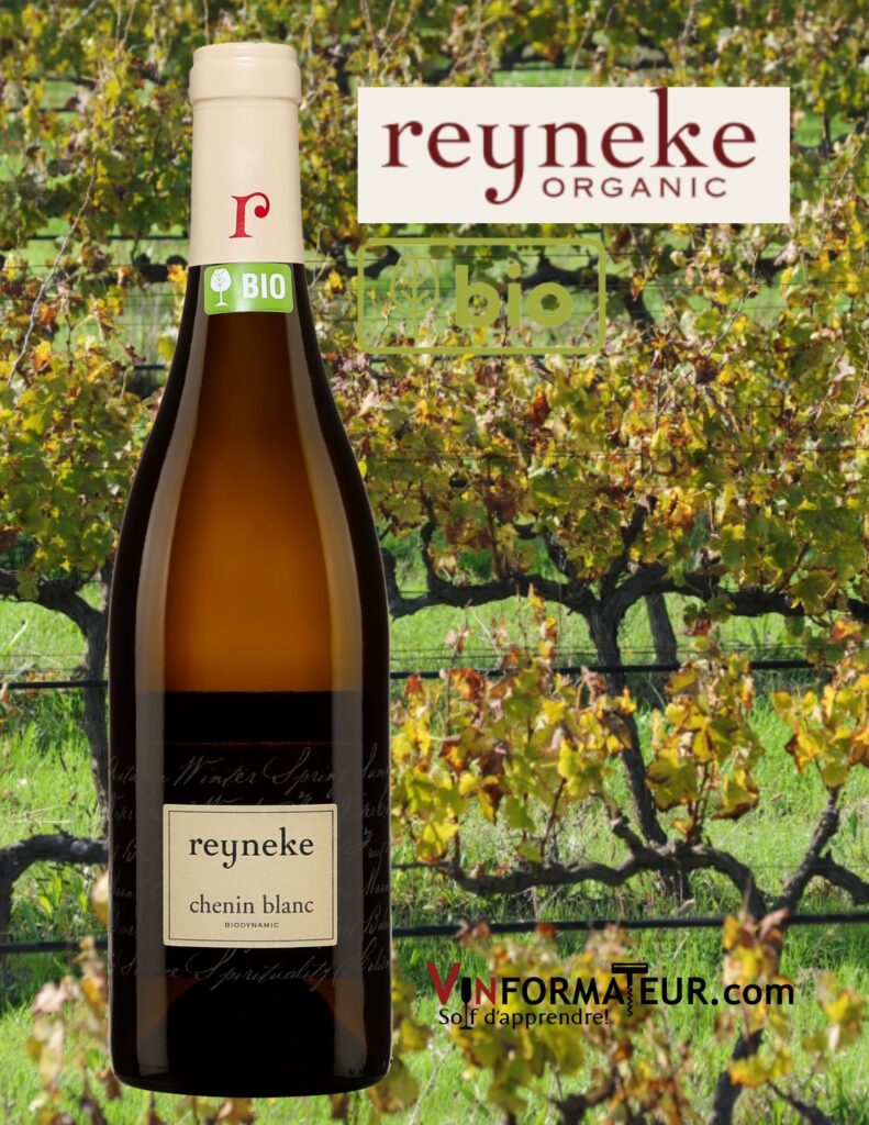 Reyneke, Chenin blanc, Afrique du Sud, Western Cape, vin blanc biodynamie, 2020 bouteille