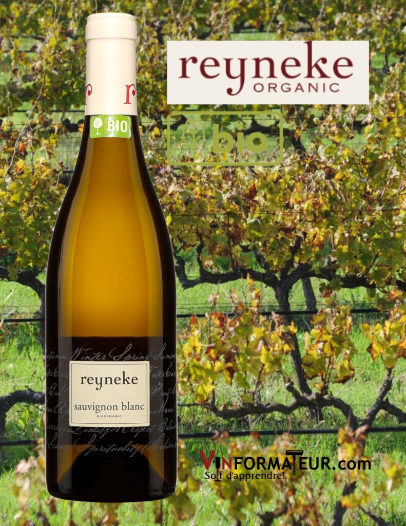 Reyneke, Sauvignon blanc, Afrique du Sud, Western Cape, vin blanc biodynamie, 2020 bouteille