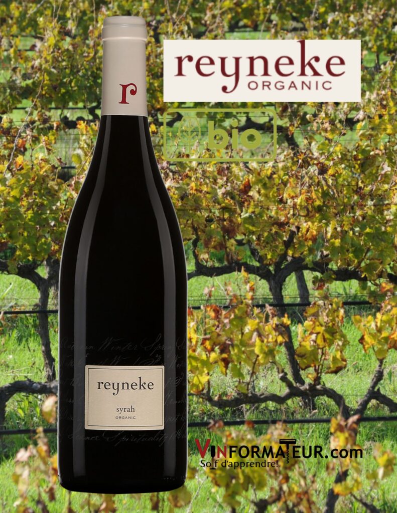 Reyneke, Syrah, Afrique du Sud, Western Cape, vin rouge biodynamie, 2019 bouteille