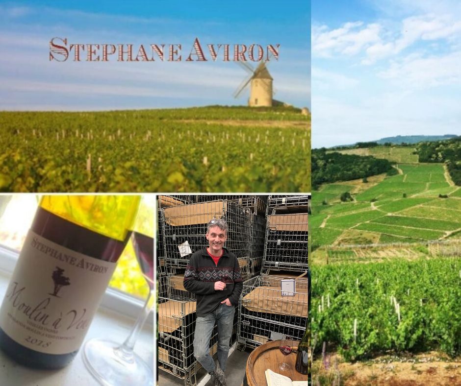 Maison Potel-Aviron: vignobles et Stéphane Aviron