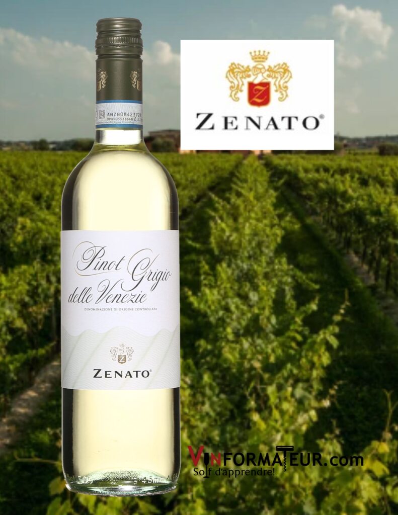 Zenato, Pinot Grigio delle Venezie, Italie, Frioul Vénétie Julienne, vin blanc, 2021 bouteille