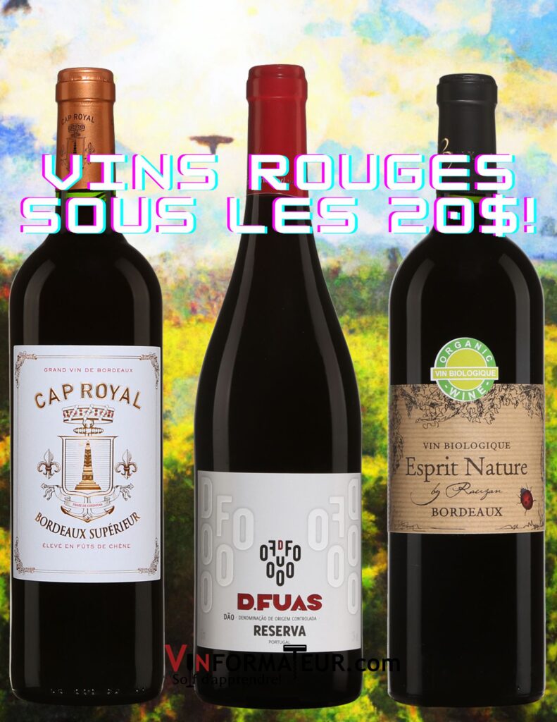 Vins rouges sous les 20$: D. Fuas, Reserva, Portugal, Dao, 2021, Esprit Nature, Cave de Rauzan bio 2021, Cap Royal, Bordeaux Supérieur 2021. bouteilles