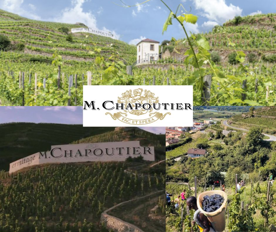 M. Chapoutier: vignobles