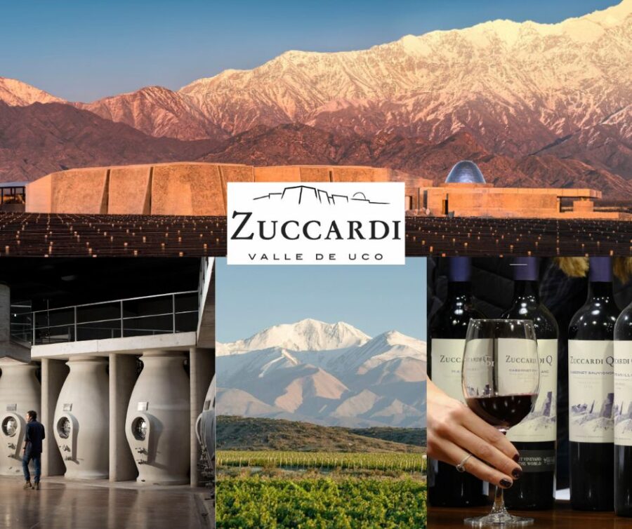 Zuccardi: vignobles, chai et vins