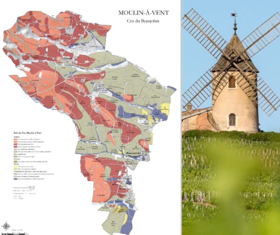 Carte viticole Moulin-à-Vent