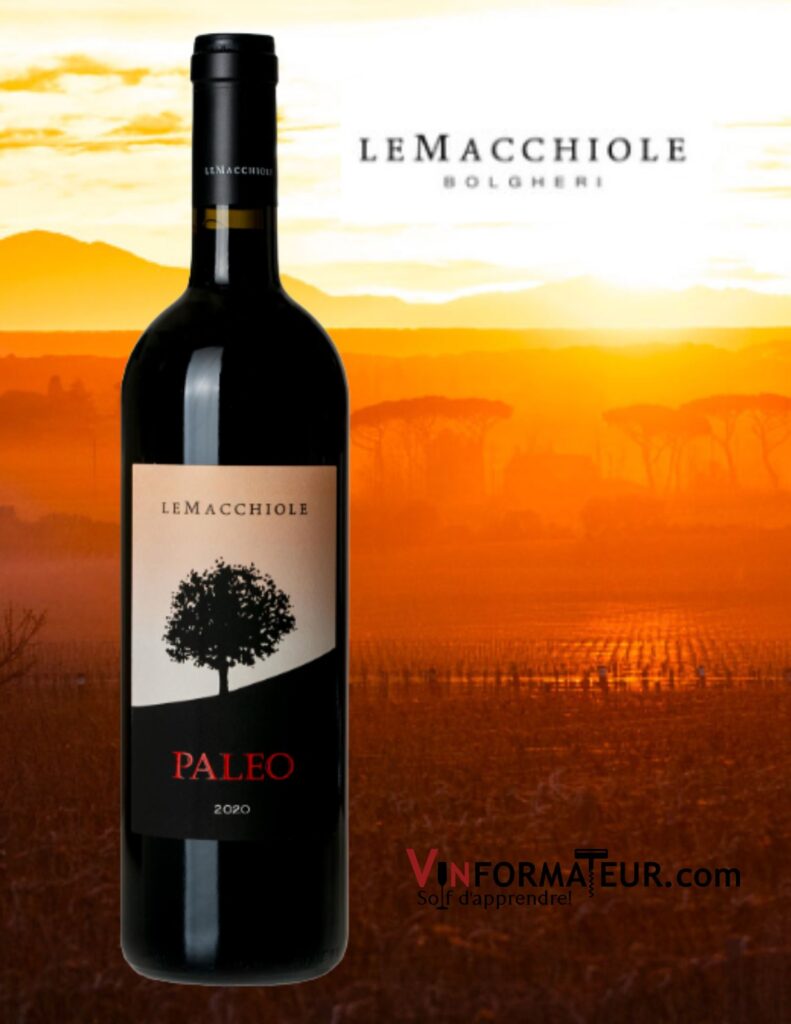 Le Macchiole, Paleo Rosso, Toscana IGT, vin rouge, 2019 bouteille