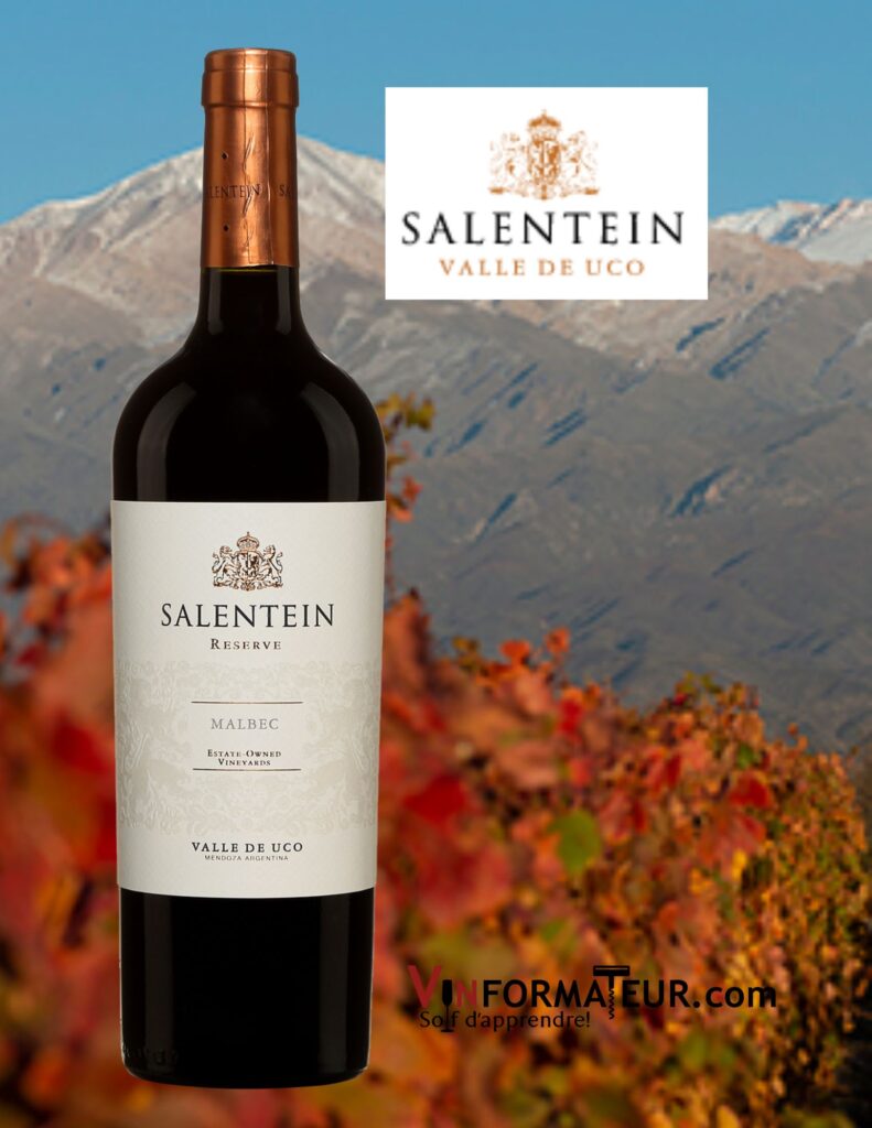 Salentein, Malbec, Reserve, Argentine, Mendoza, Valle de Uco, vin rouge, 2021 bouteille