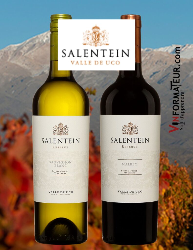Bodega Salentein: Sauvignon blanc, Reserve et Malbec Reserve , Argentine, Mendoza, Valle de Uco, 2021,19,95. bouteilles