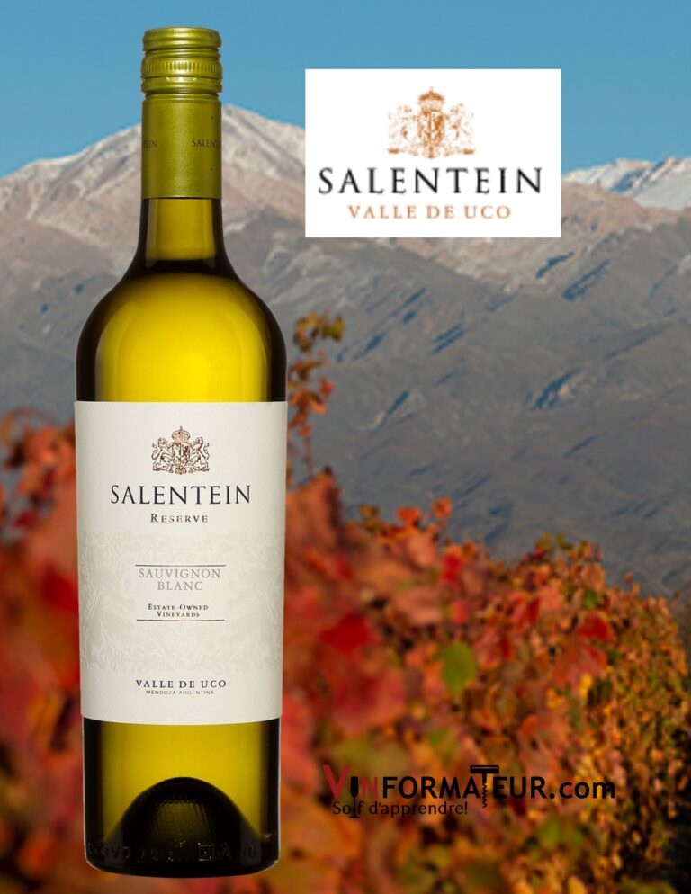 Salentein, Sauvignon blanc, Reserve, Argentine, Mendoza, Valle de Uco, vin blanc, 2021 bouteille