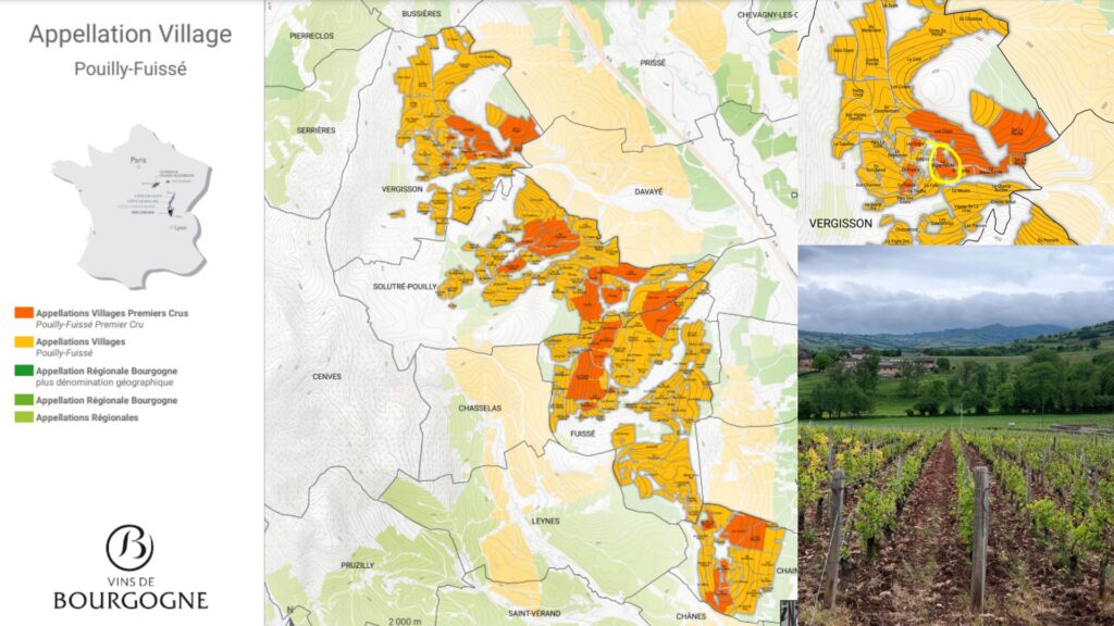 Carte viticole Pouilly Fuissé