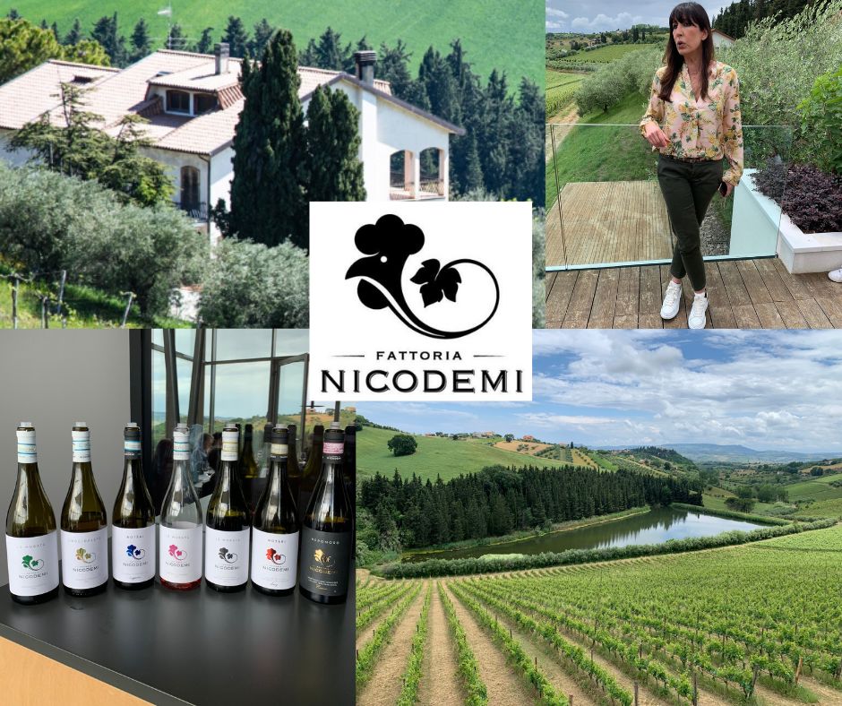 Fattoria Nicodemi: Elena Nicodemi, chai, vignobles et vins
