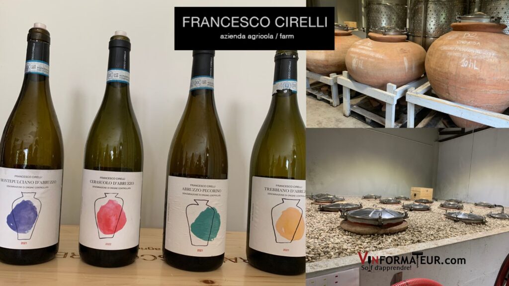 Vins Francesco Cirelli