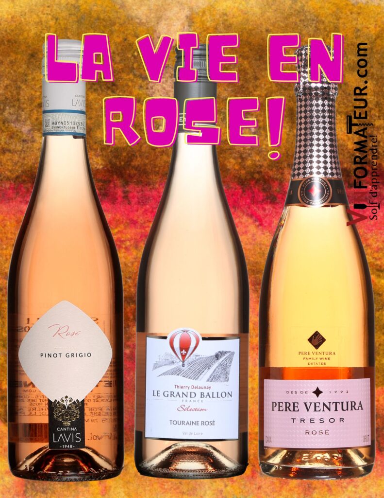 Trois vins rosés: Pinot Grigio, Cantina Lavis, 2021, Le Grand Ballon, Touraine Rosé, 2022, Pere Ventura, Tresor, Cava, Rosé Brut. bouteilles
