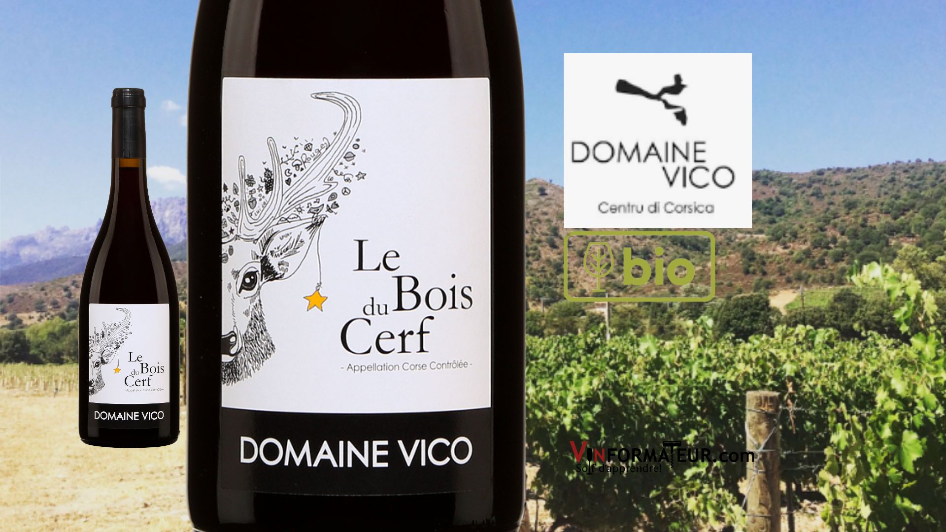 Vin rouge de Corse Le Bois de Cerf Vinformateur
