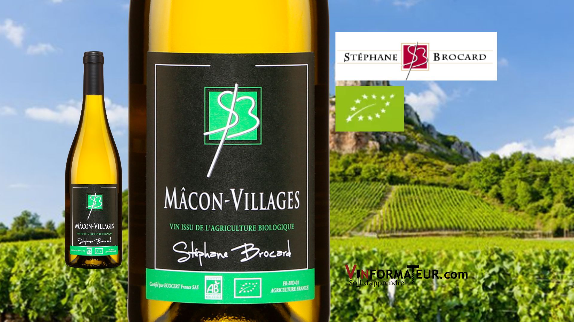 MâconVillages Stéphane Brocard 2020 Vinformateur