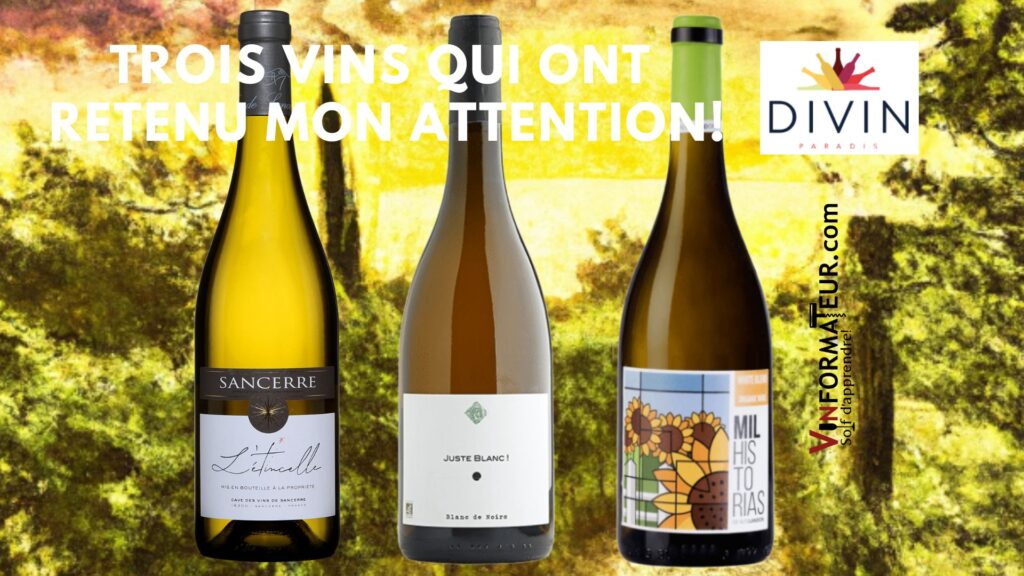 Vins blancs: L’Étincelle, Sancerre, Juste Blanc, Mas des Justes, Mil Historias, Blanco. bouteilles