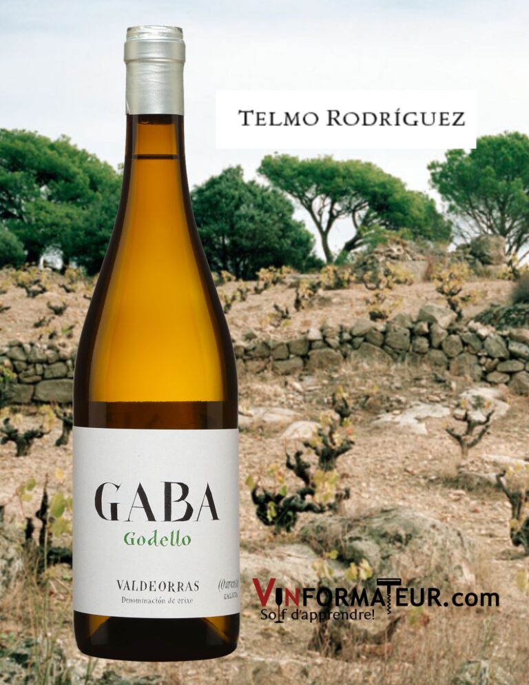 Godello, Gaba do Xil, Telmo Rodrigues, Espagne, Galice, vin blanc, 2022 bouteille