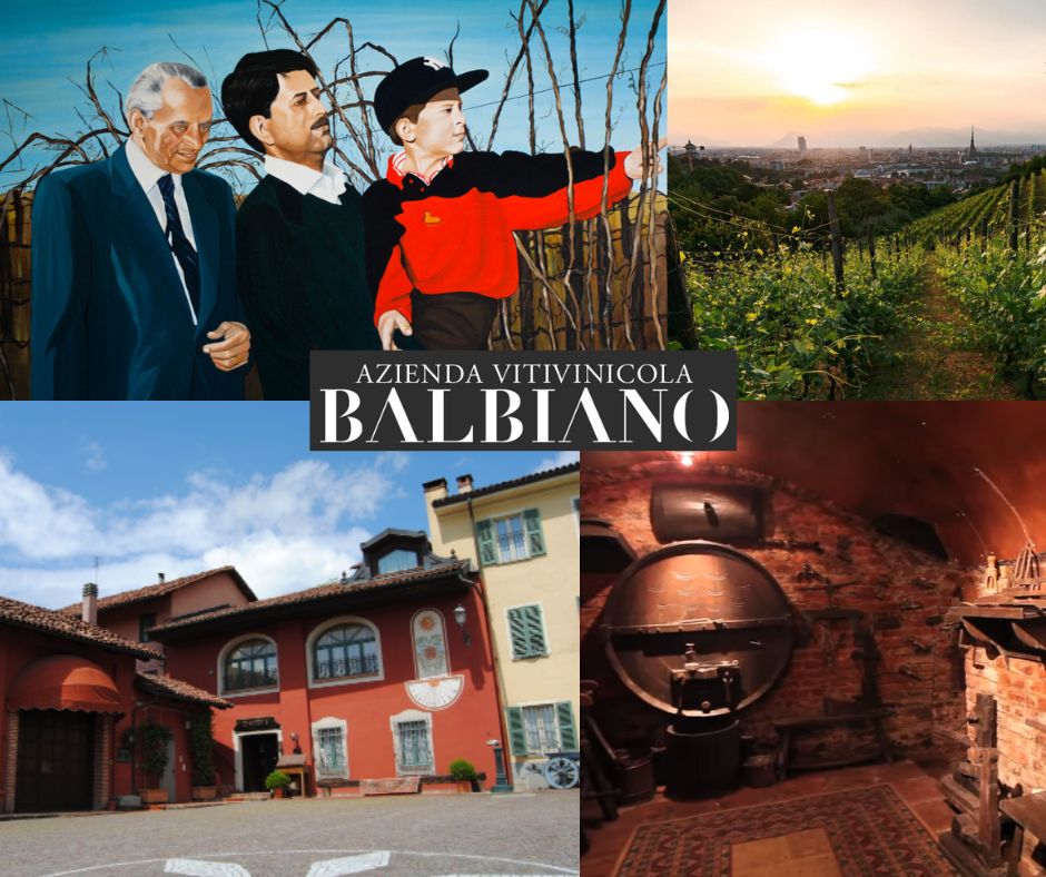 Azienda Vitivinicola Balbiano: Famille, chai, vignobles