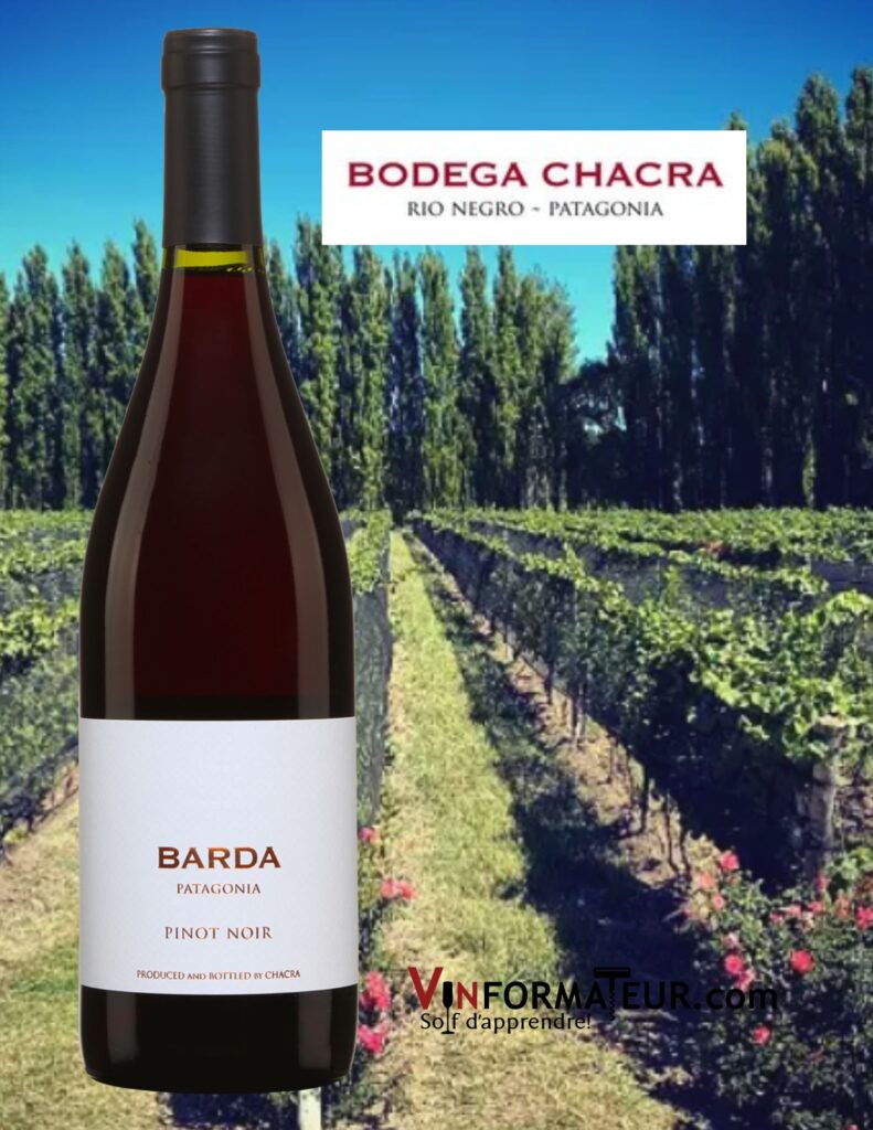 Pinot Noir, Barda, Argentine, Patagonie, vin rouge, 2021 bouteille