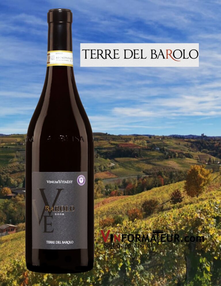 Barolo, Vinum Vita Est, Terre del Barolo, 2018 bouteille