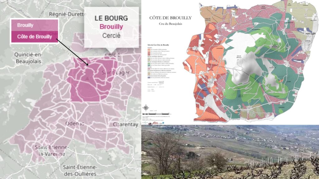 Carte viticole Côte de Brouilly