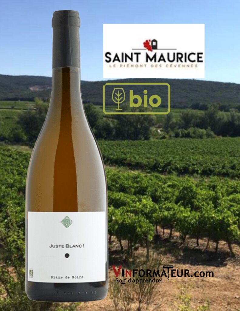 Juste Blanc, Mas des Justes, Languedoc-Roussillon, Les Vignerons de Saint Maurice, vin blanc bio, 2022 bouteille