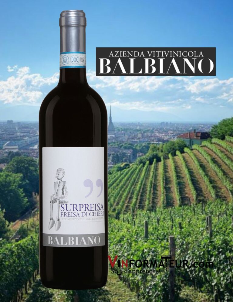 Balbiano, Surpreisa, Italie, Piémont, Freisa di Chieri DOC, vin rouge, 2021 bouteille